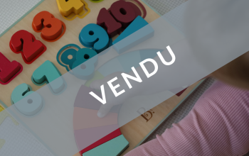 vente de crèche en bourgogne