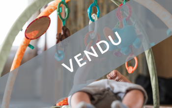 vente de micro-crèche en france
