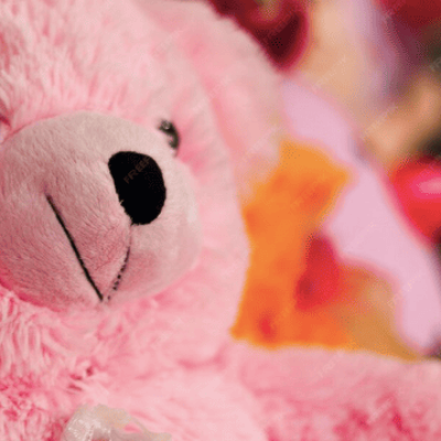 offre-micro-crêche-pas-de-calais cession-entreprise-petite-enfance-dans-le-62