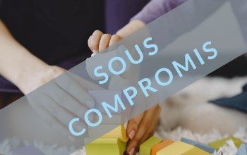 offre d'entreprise de petite enfance à racheter