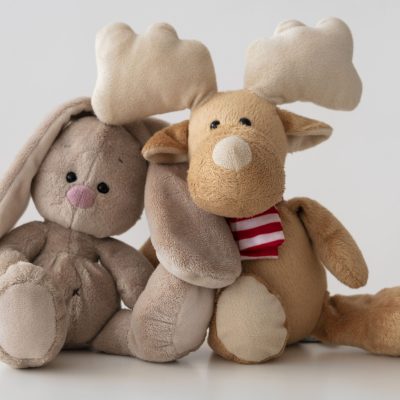 cession-micro-creches-ile-de-france