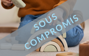 vente d'une entreprise d'accueil petite enfance en france